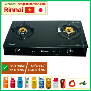 Bếp Gas Đôi Rinnai RV-6 Double Glass (SP) Việt - Nhật Chính Hãng