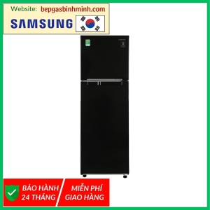 Tủ lạnh Samsung Inverter 256 lít RT25M4032BU/SV