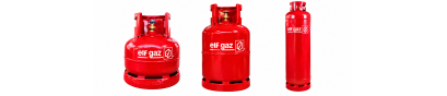 Thương Hiệu Gas Elf