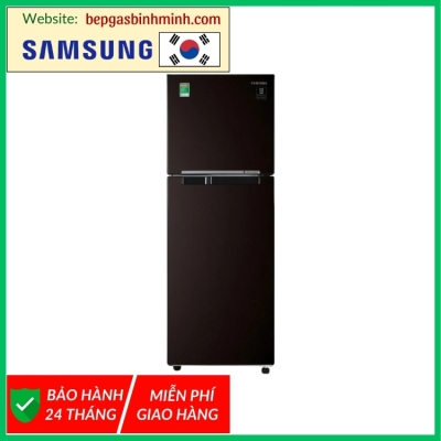 Tủ lạnh Samsung Inverter 236 lít RT22M4032BY/SV