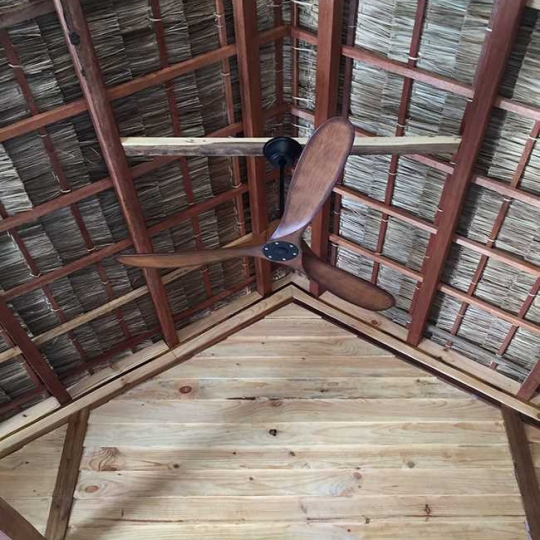 Quạt trần cho người giàu EAGLE 60